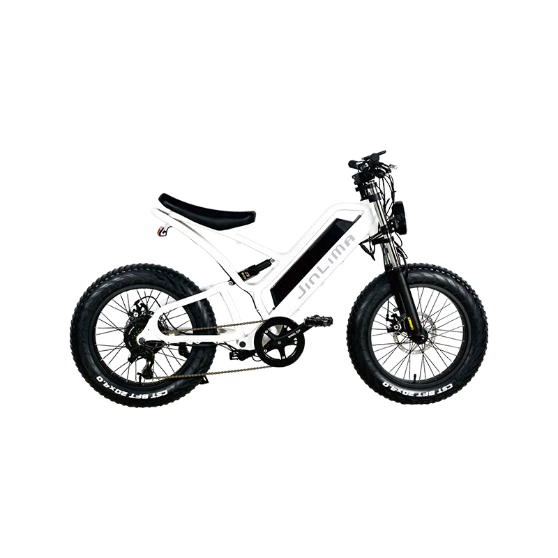 HYB-030 20 "با دوچرخه الکترونیکی مسافر E-in Commuter